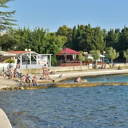 Mm Luxury Gold & Rubin *